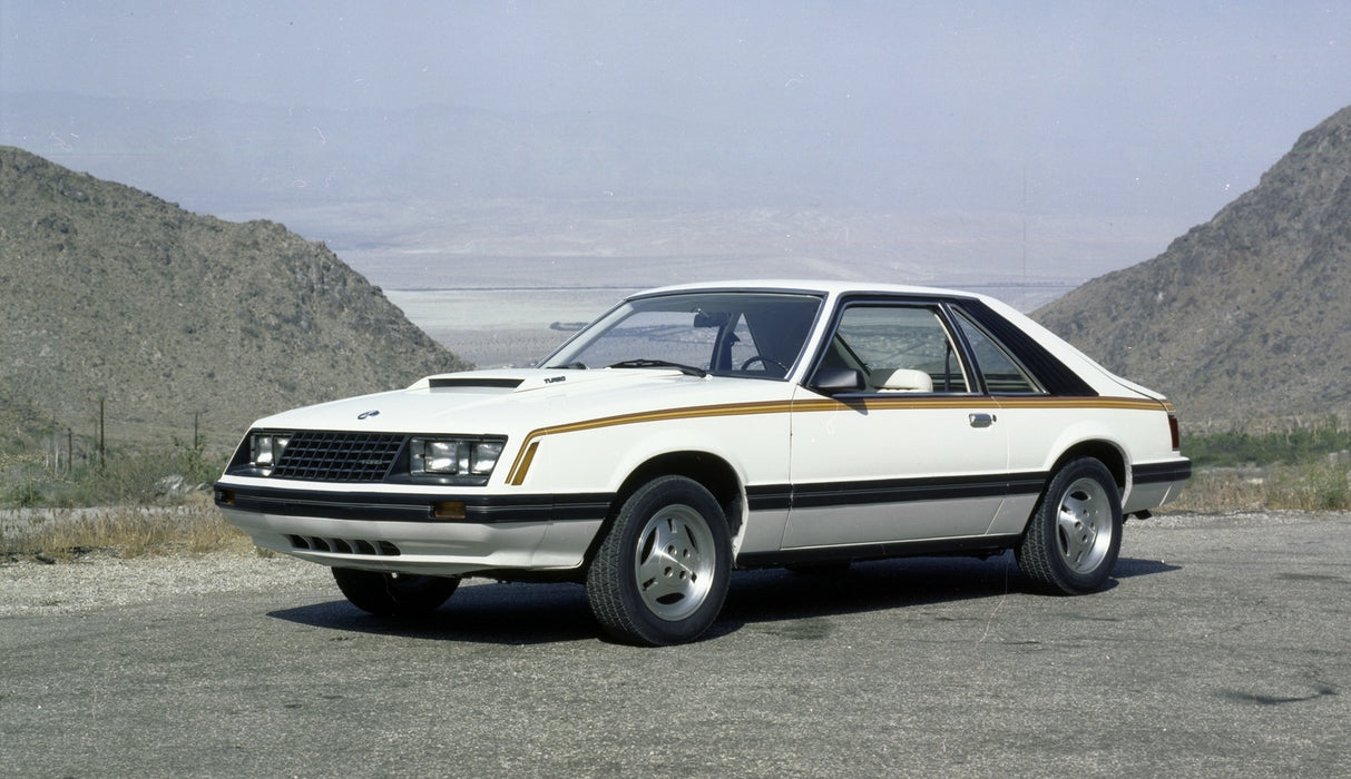 1979-1984 Ford Mustang Side Door Body Trim Mouldings Moldings Black Pair LH & RH