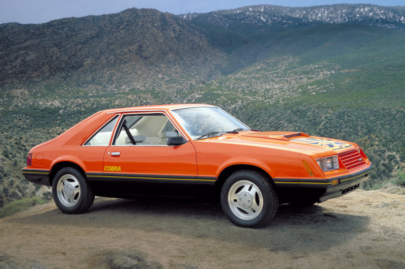 1979-1984 Ford Mustang Side Door Body Trim Mouldings Moldings Black Pair LH & RH
