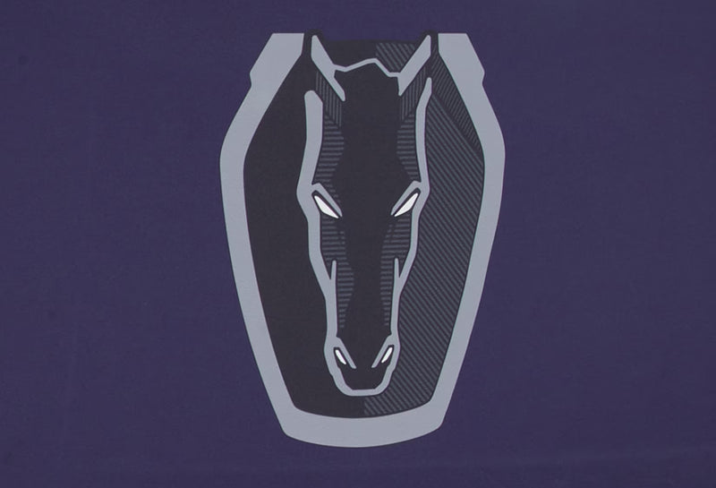 2024-2025 Ford Mustang GT Dark Horse OEM VRR3Z-19A412-N Blue Outdoor Car Cover