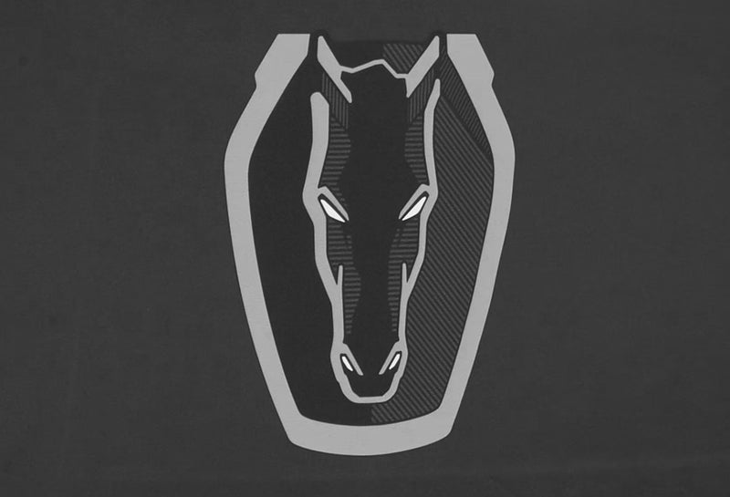 2024-2025 Ford Mustang GT Dark Horse OEM VRR3Z-19A12-F Black Indoor Car Cover