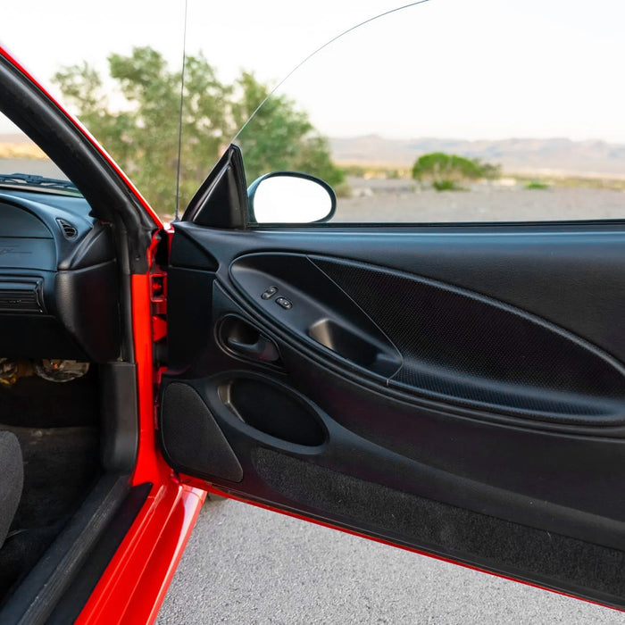 1994-2004 Mustang & Cobra RH Passenger Side Door Window Insert Panel Housing Black