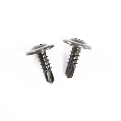 1979-1986 Mustang Hatchback & Coupe Roof Rail Molding Retainer Screws (2 pcs)