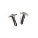 1979-1986 Mustang Hatchback & Coupe Roof Rail Molding Retainer Screws (2 pcs)