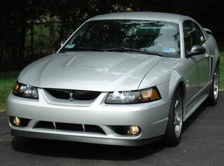 1994-2004 Mustang Cobra SVT Snake Chrome & Black Grill Grille Emblem w/ Bracket