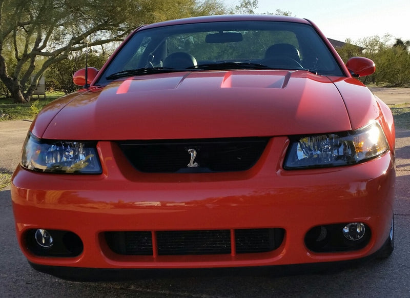 1994-2004 Mustang Cobra SVT Snake Chrome & Black Grill Grille Emblem w/ Bracket