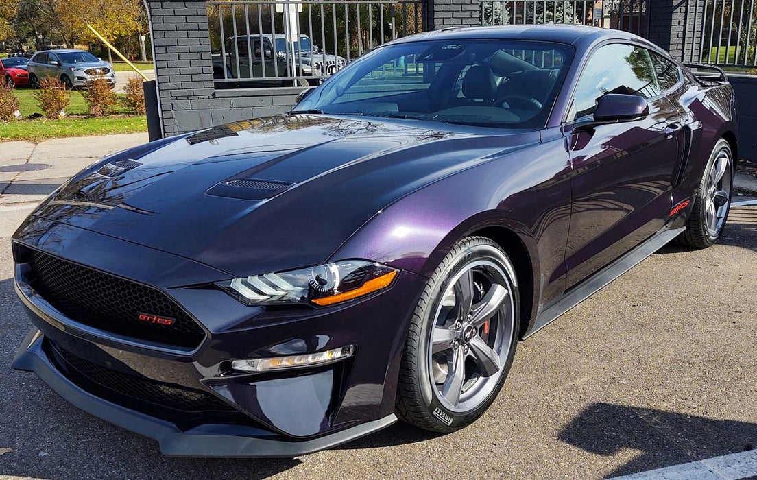 2022 Ford Mustang OEM 2-In-1 Touch Up Paint Mischeivous Purple P2 Clear Coat