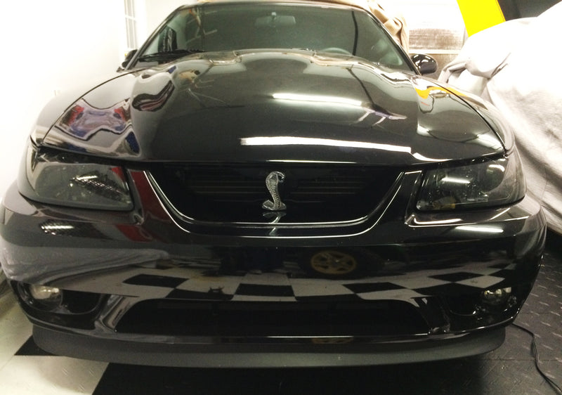1999-2004 Mustang Cobra Front Bumper Grille 4" Snake Emblem w/ Bracket & Screws