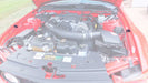 2005-2014 Ford Mustang Hood Engine Bay Fender Bumper Rubber Stops Pair LH RH