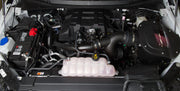 2018-2020 Ford F-150 2.7L Ecoboost Roush Cold Air Intake & Pypes Exhaust Kit