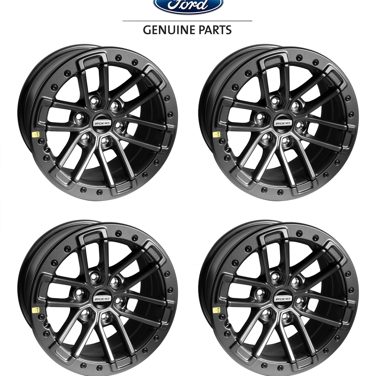 20172020 F150 Raptor Genuine Ford Factory 17" Aluminum Wheels