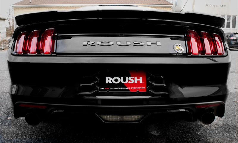 2015-2020 Ford Mustang Custom Painted Rear License Plate Frame Black UA